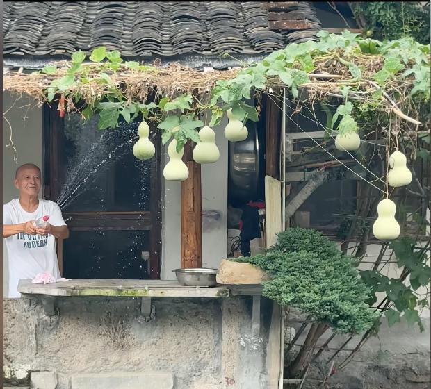 “葫芦娃真的照进现实了！”浙江绍兴，一位75岁的爷爷花6元买来葫芦秧苗，又用5天