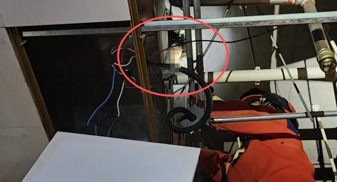 “酒后抽象行为！”近日，浙江温州，一家医院的卫生间天花板上，传来一阵动静，吓的赶