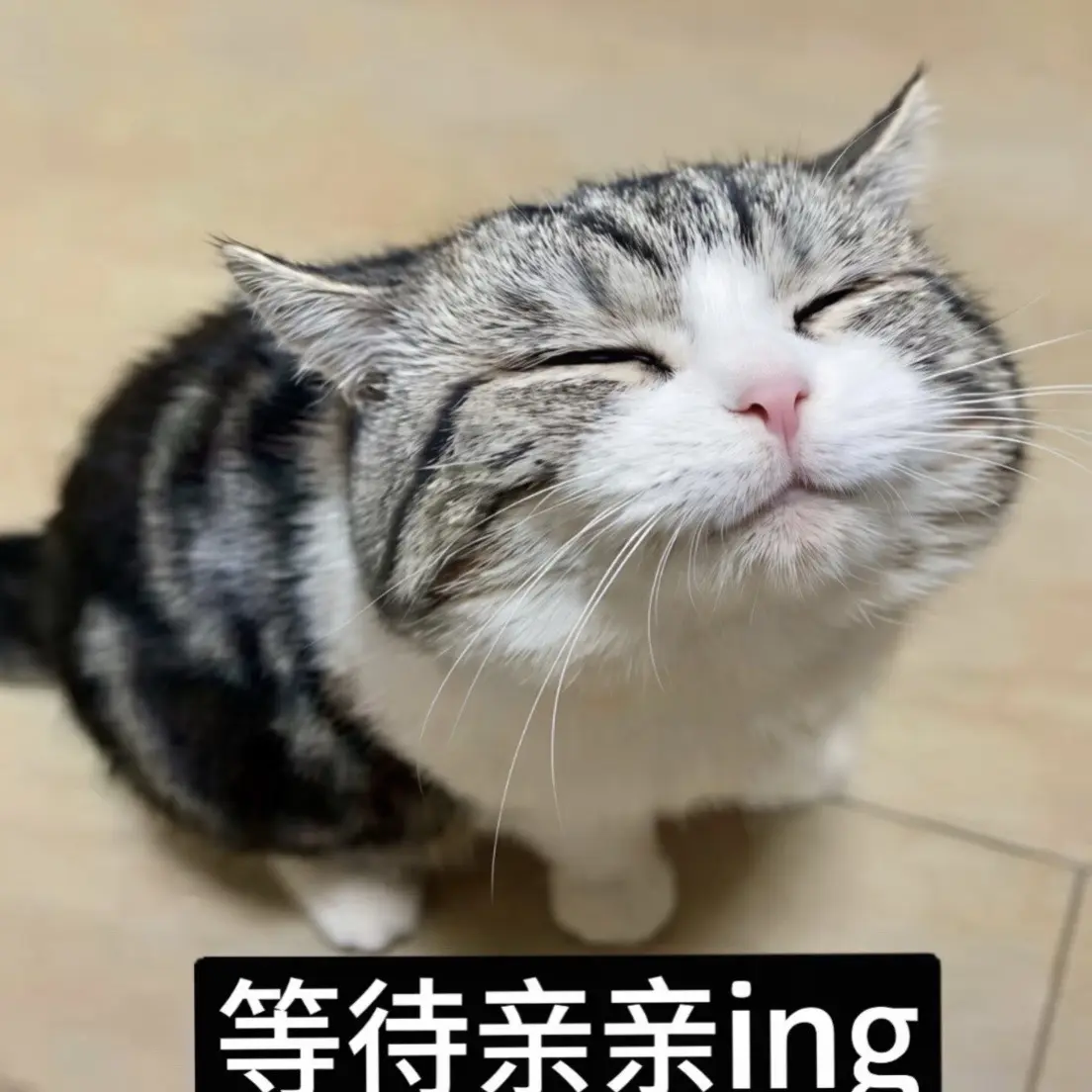 刷到的时候就感觉好适合虾玉，但p的有点诡异