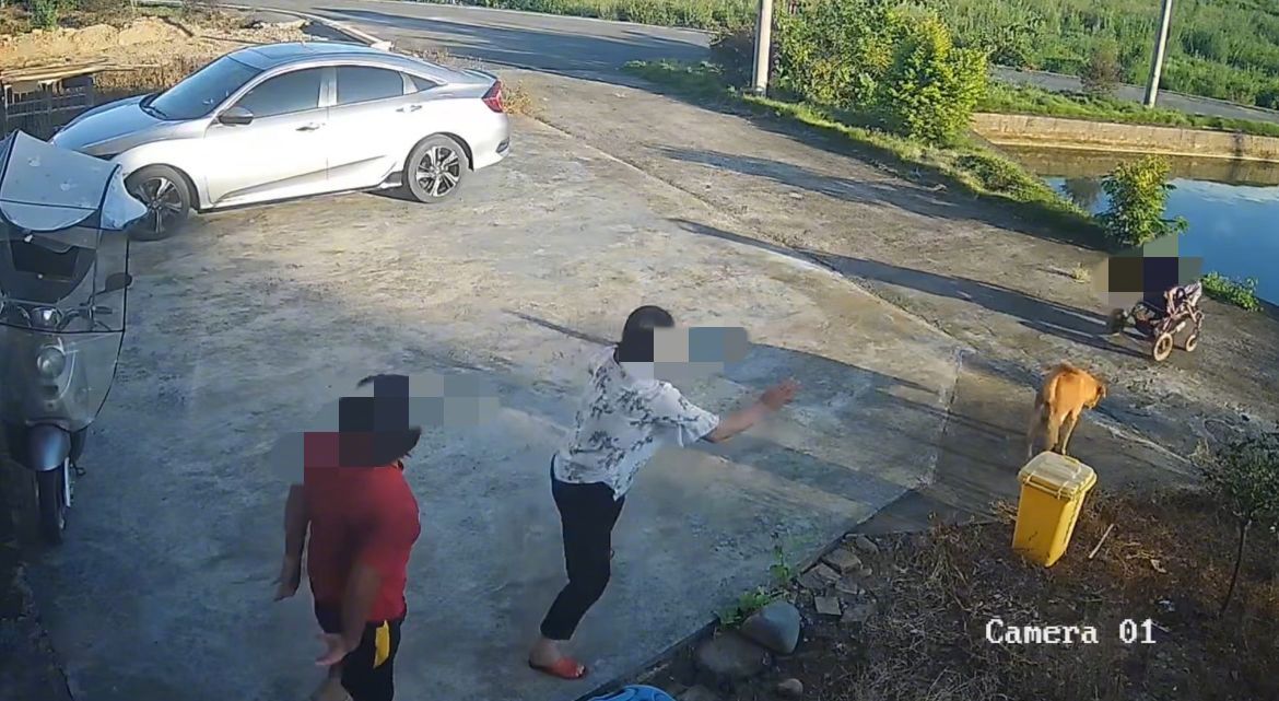 惊魂一刻！广东奶奶闲聊时孙女连人带车滑入鱼塘，村民火速救援！当地政府紧急加装围栏