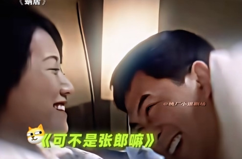 2009年《蜗居》捧红了大器晚成的张嘉译，但是后来这部剧因为尺度太大被禁播过一段
