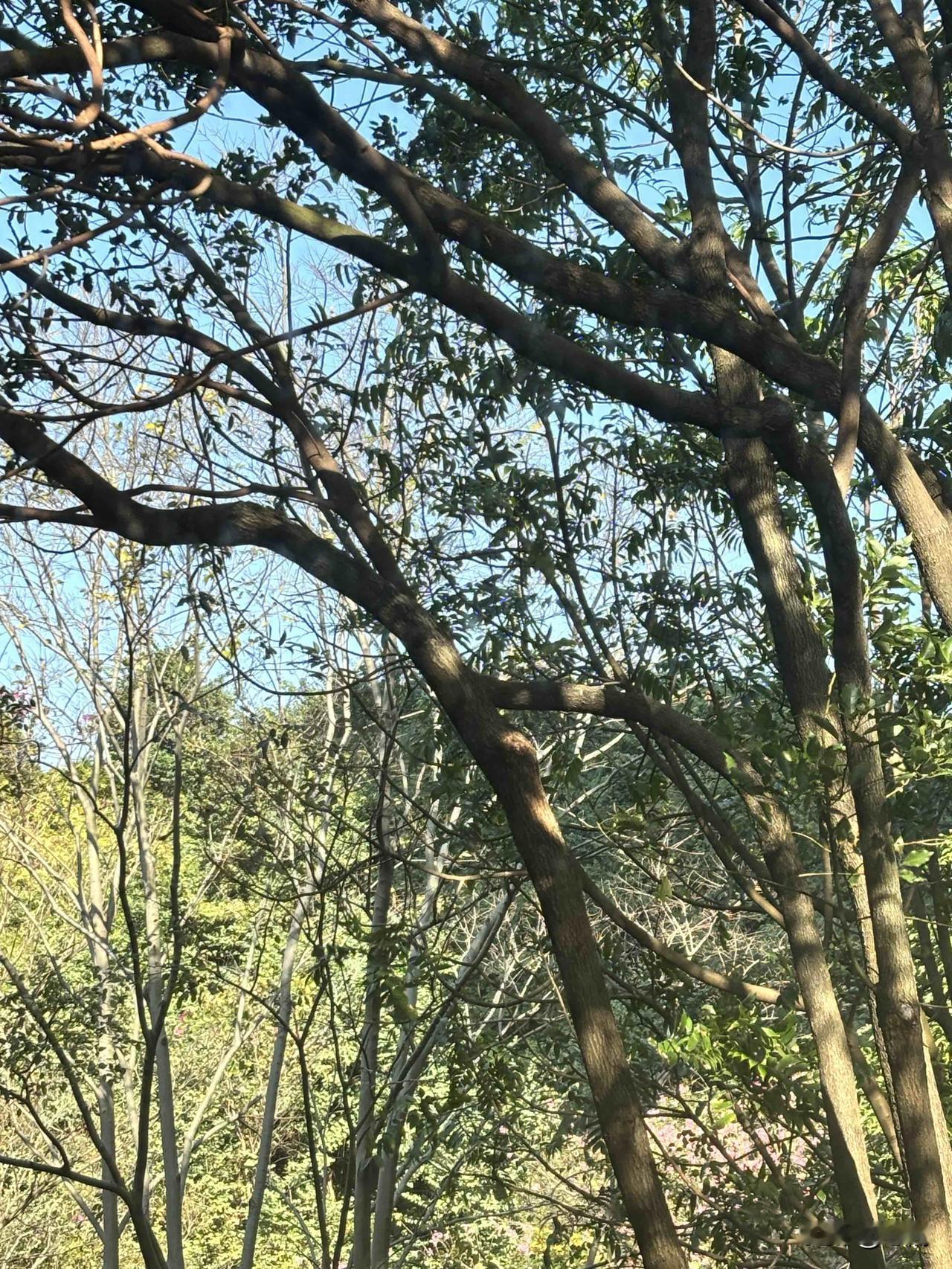 很多人都认为，如果财务自由了，一定要躺平。很多财务自由的人，想换个活法，再次证明