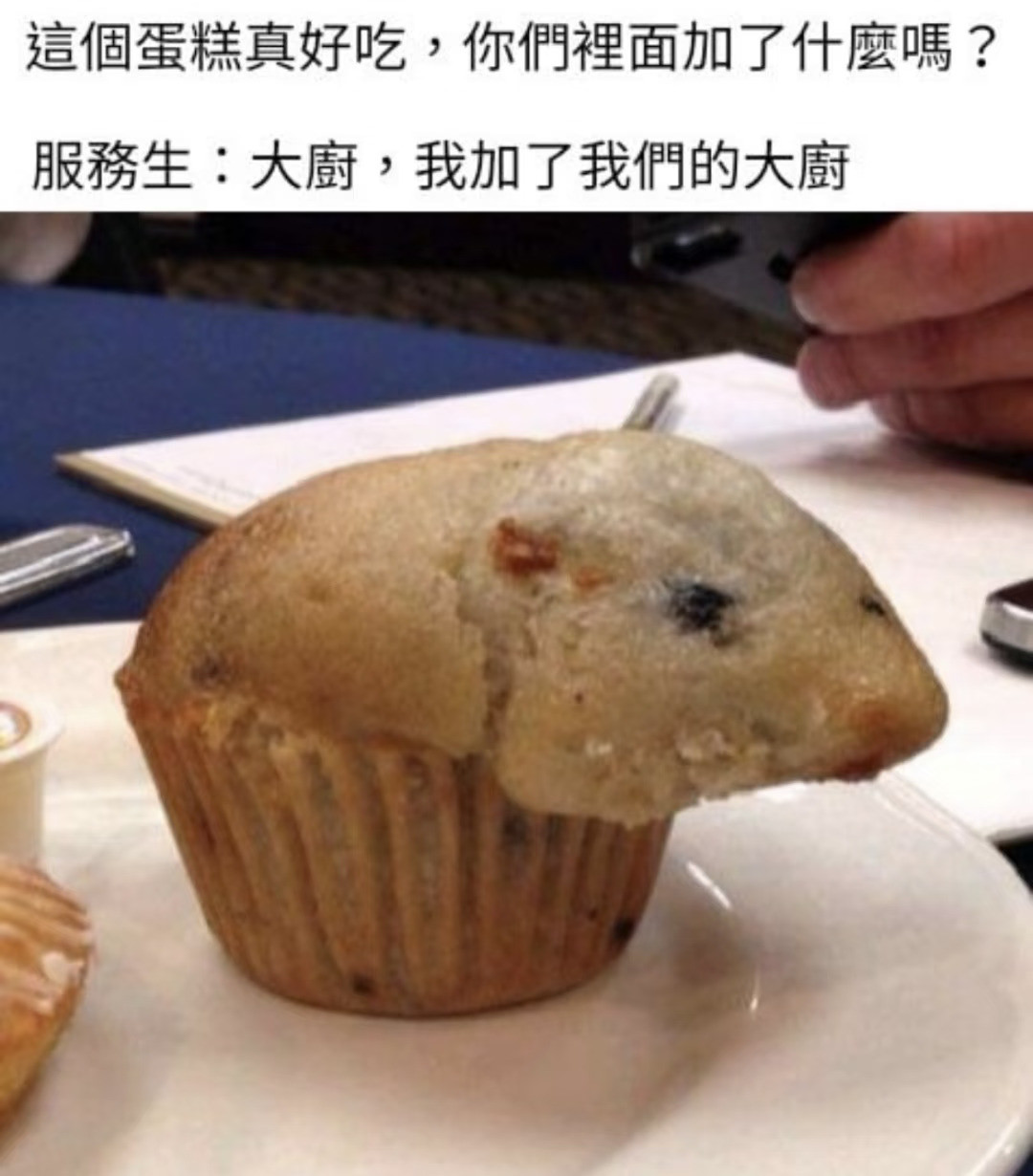 🐭搞笑梗图memes
