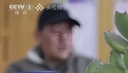 上海男子失联17年被宣告死亡：所有潇洒逃避，终要自己买单真的别高估自
