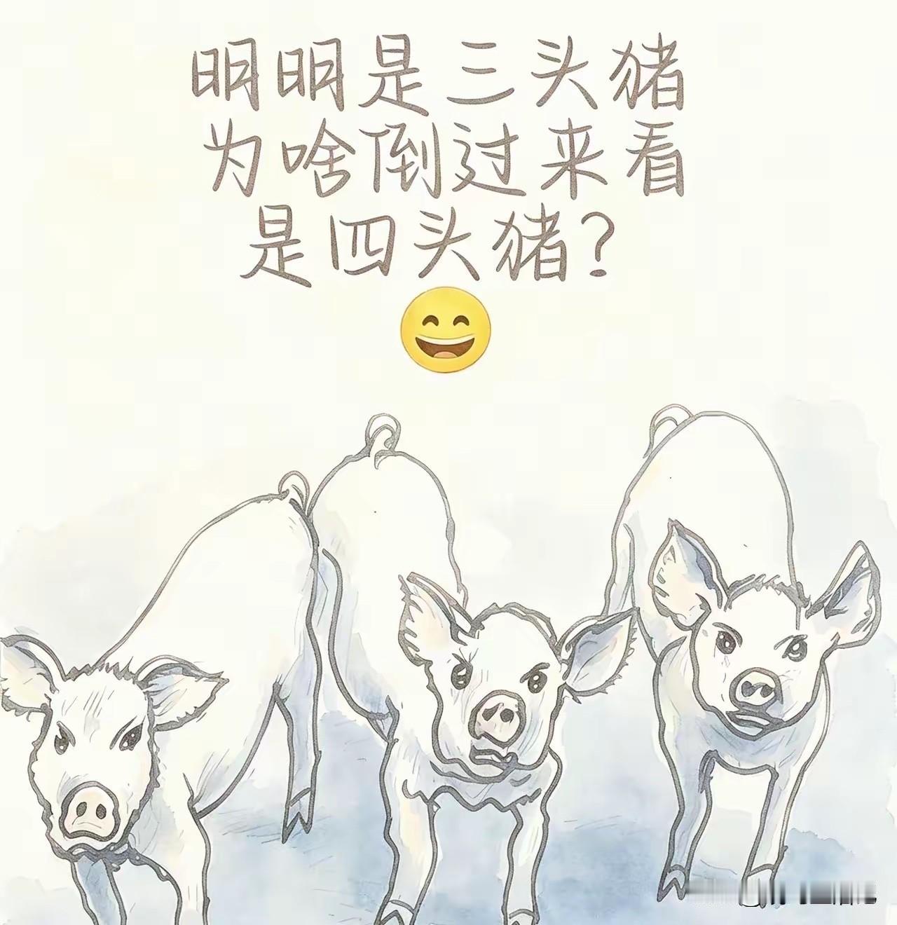 这……该怎么解释呢。