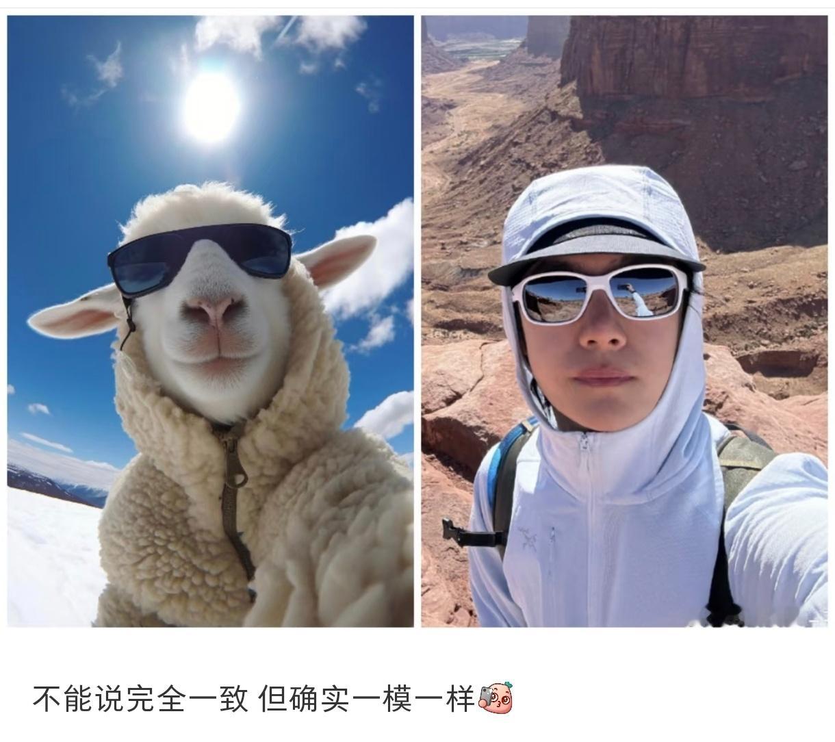 哈哈哈哈哈哈哈哈