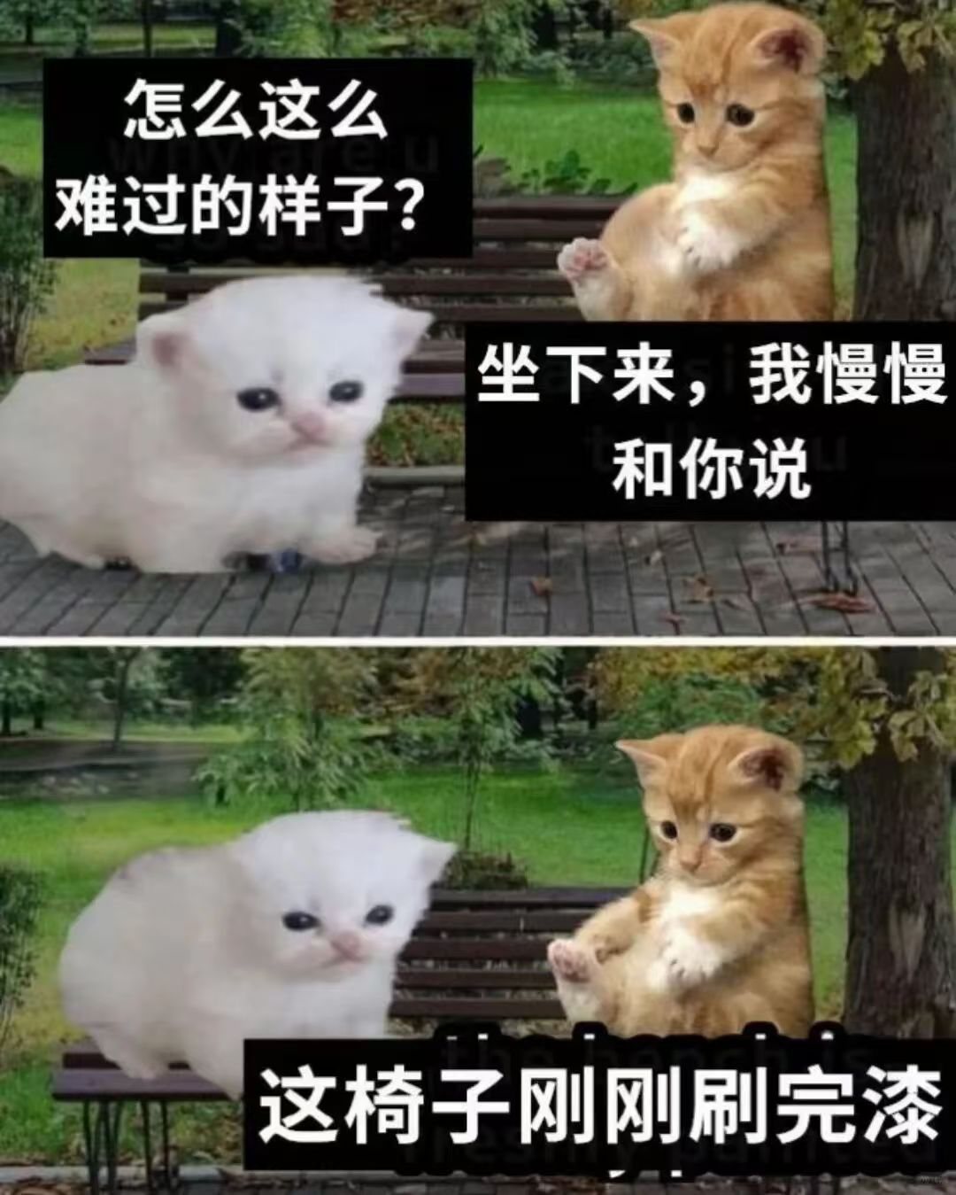 哈哈​​​