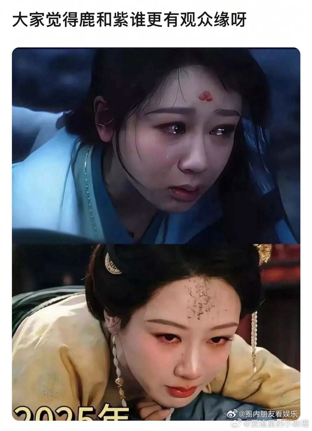 郫县热议：杨紫🆚白鹿，你更能pick谁？​​​