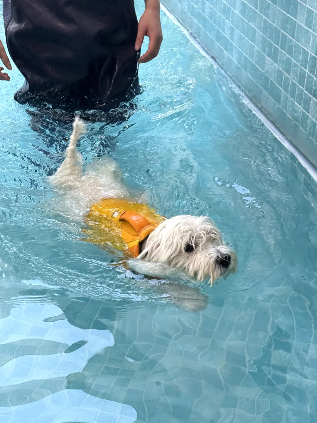 泳裤一穿 谁都不爱🏊‍♂️