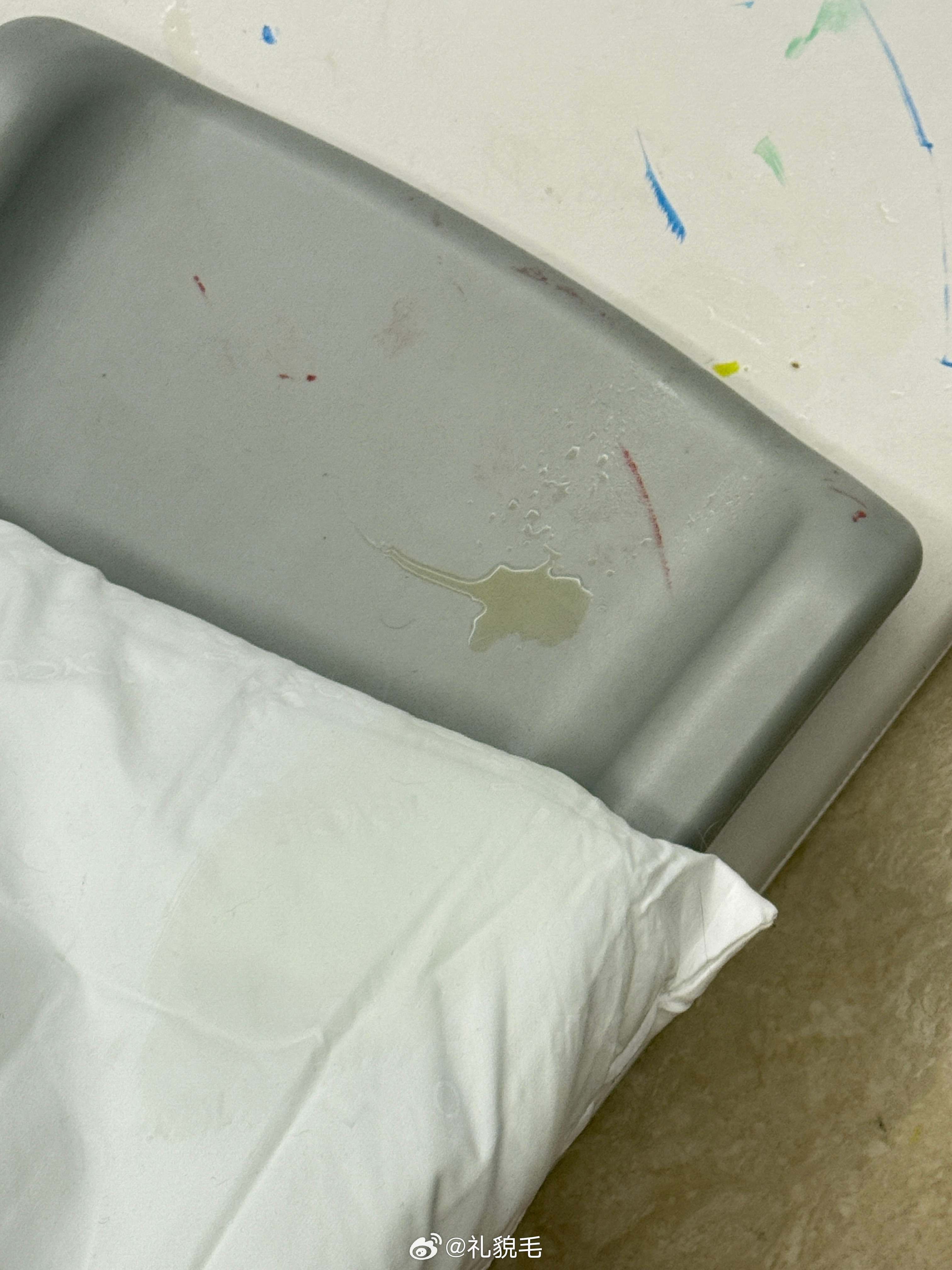 just两天不在家小奴就表明了自己的态度球宝说罚款吧，给奴奴罚款