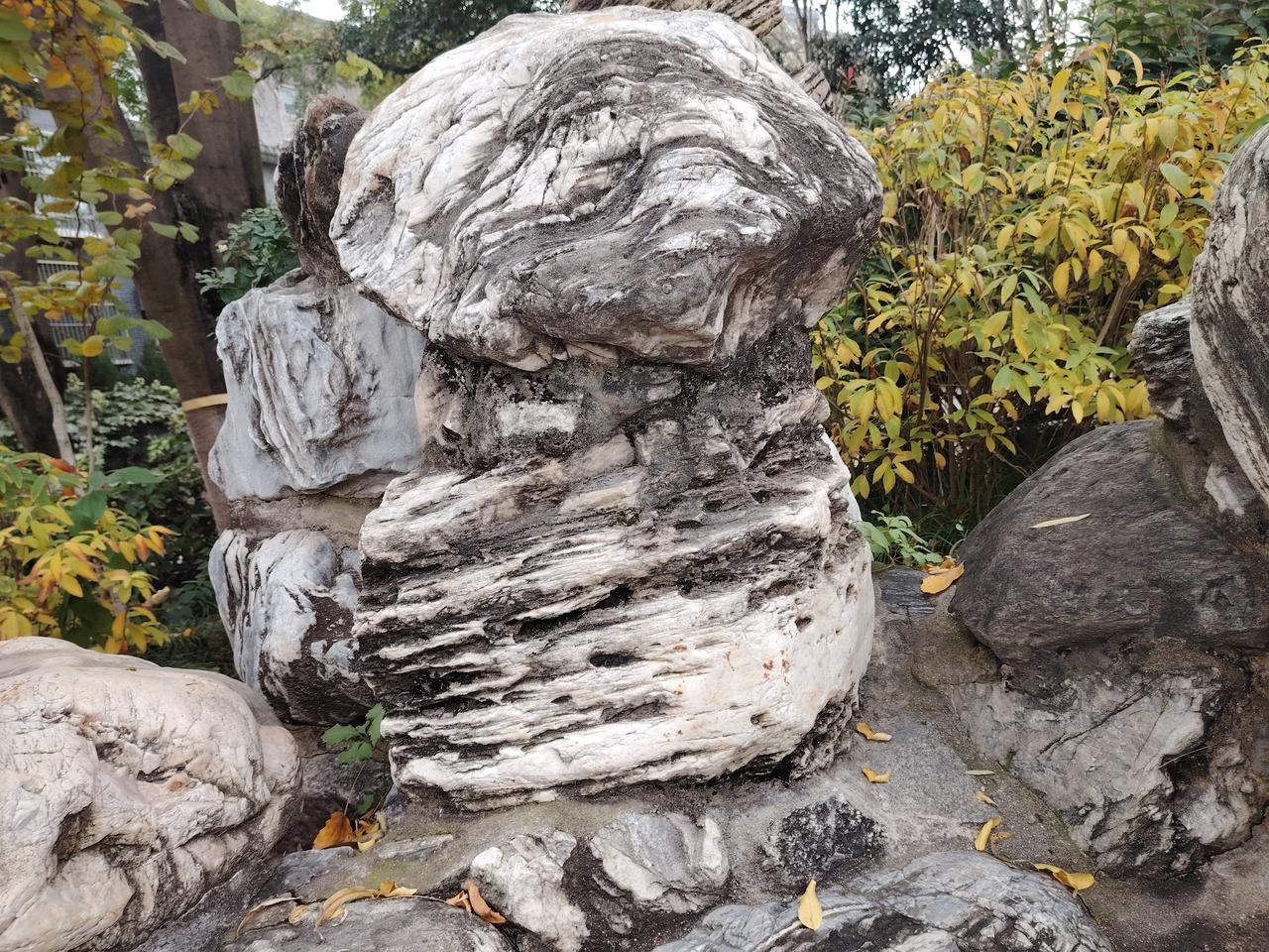 有个学校，新来领导。接到任命，暑假到校。考察中层，调整领导。能者留下，庸者换掉