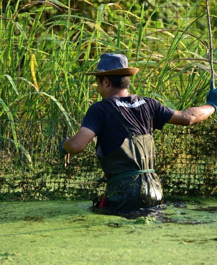 1962年，江苏溧阳一对青年夫妇在池塘畔劳作间隙嬉闹，丈夫随手捧起一捧淤泥向妻子