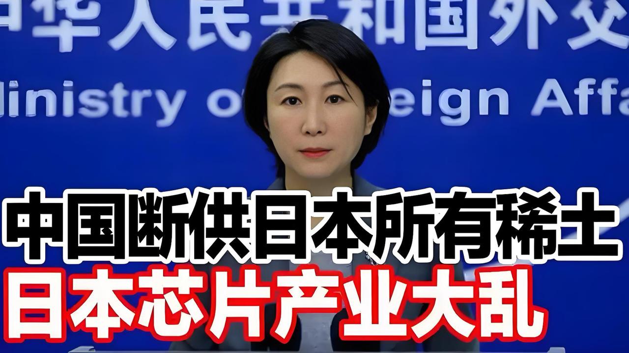 日本:半导体从垄断全球到现在没人理,为什么呀?日本半导体