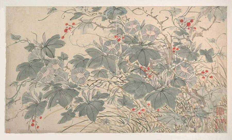 陈淳《花卉图册》纸本设色32.5*57.3com。陈淳，字道复，明代绘画大