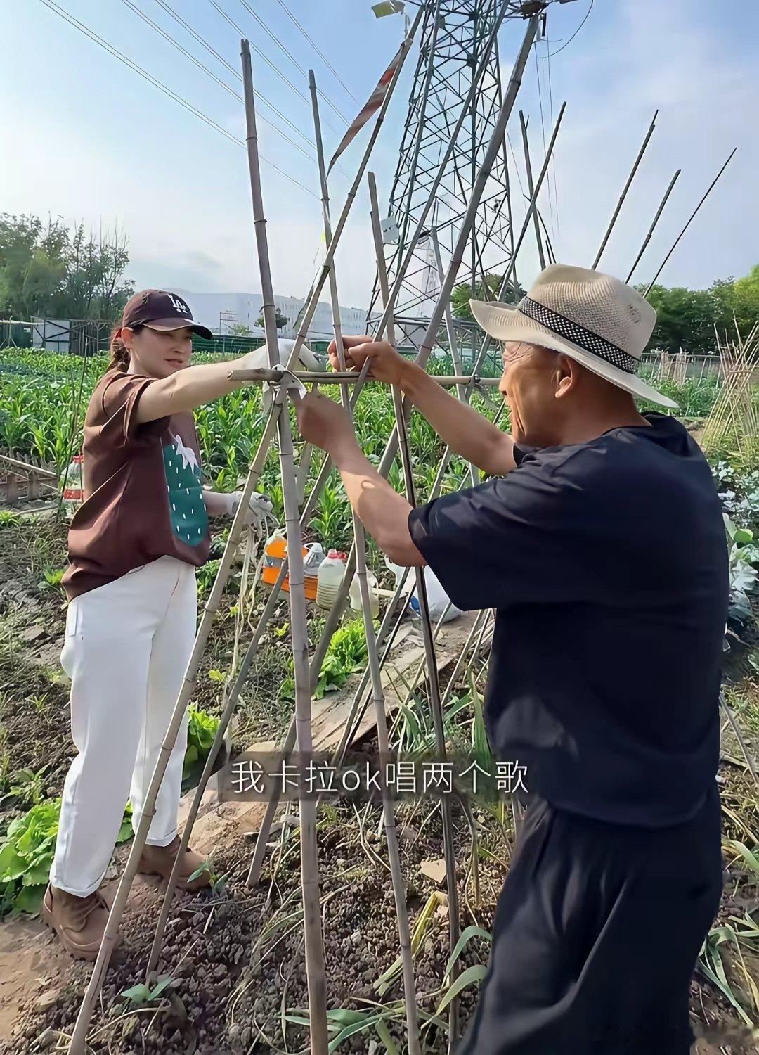 梅婷和公公相处很自然融洽，像父女一样。每隔几天，儿媳妇就像农场主一样来验收地里的