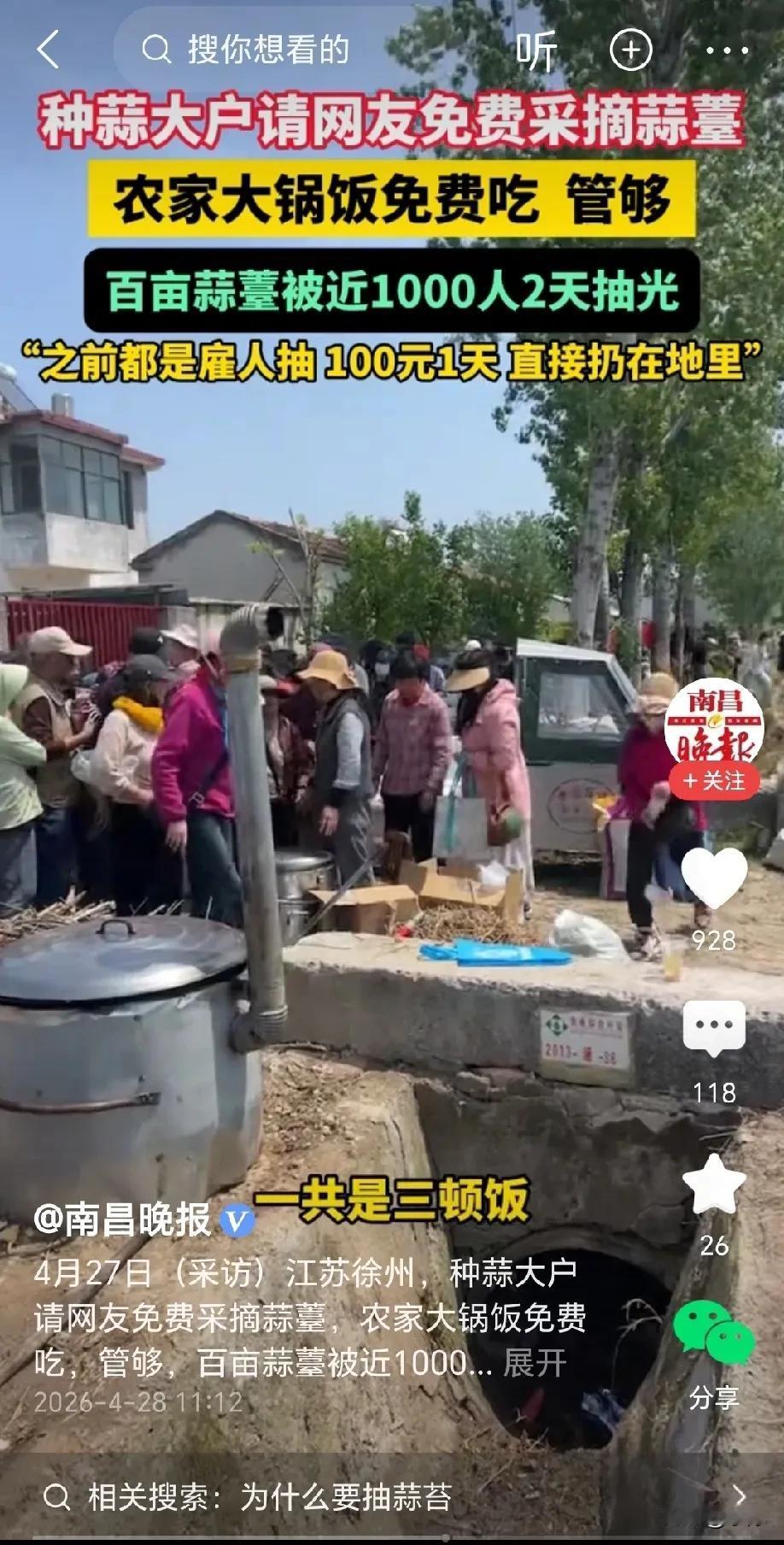 人怎么可以这么聪明？江苏徐州，男子种植了百亩大蒜，如今需要抽蒜苔，雇人的话，一天