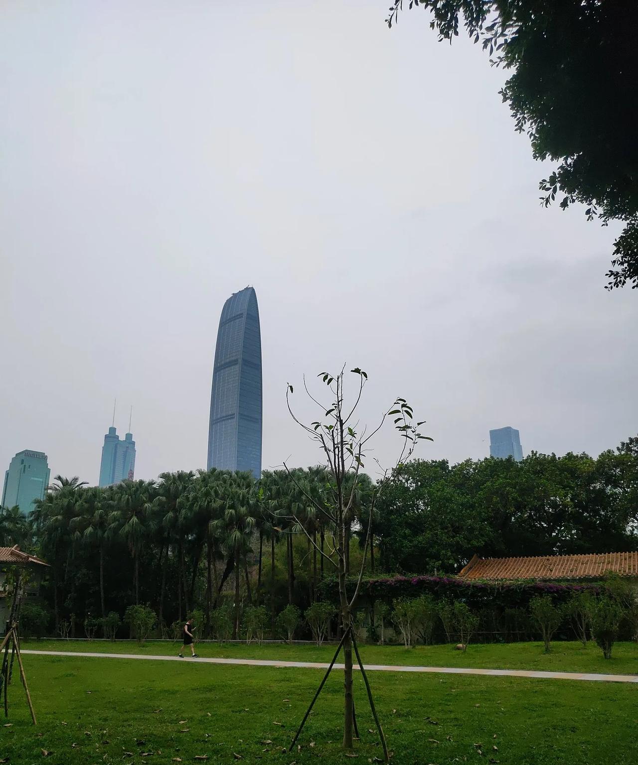深圳的两大致命缺点！全中国也没有第二个，这么洋气，这么现代化的城市，来深圳旅游