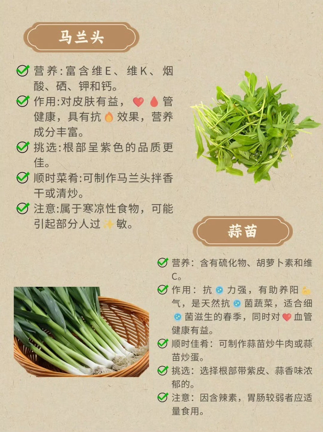春吃芽，春季多吃10个有灵气的菜