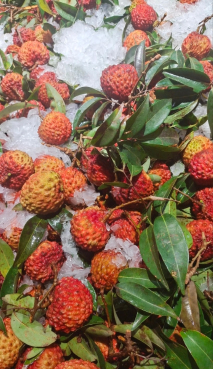 我表姐的公婆，都刚过60岁生日，二老却双双待在家里，吃完饭哼哼小曲，跳跳舞，逗逗