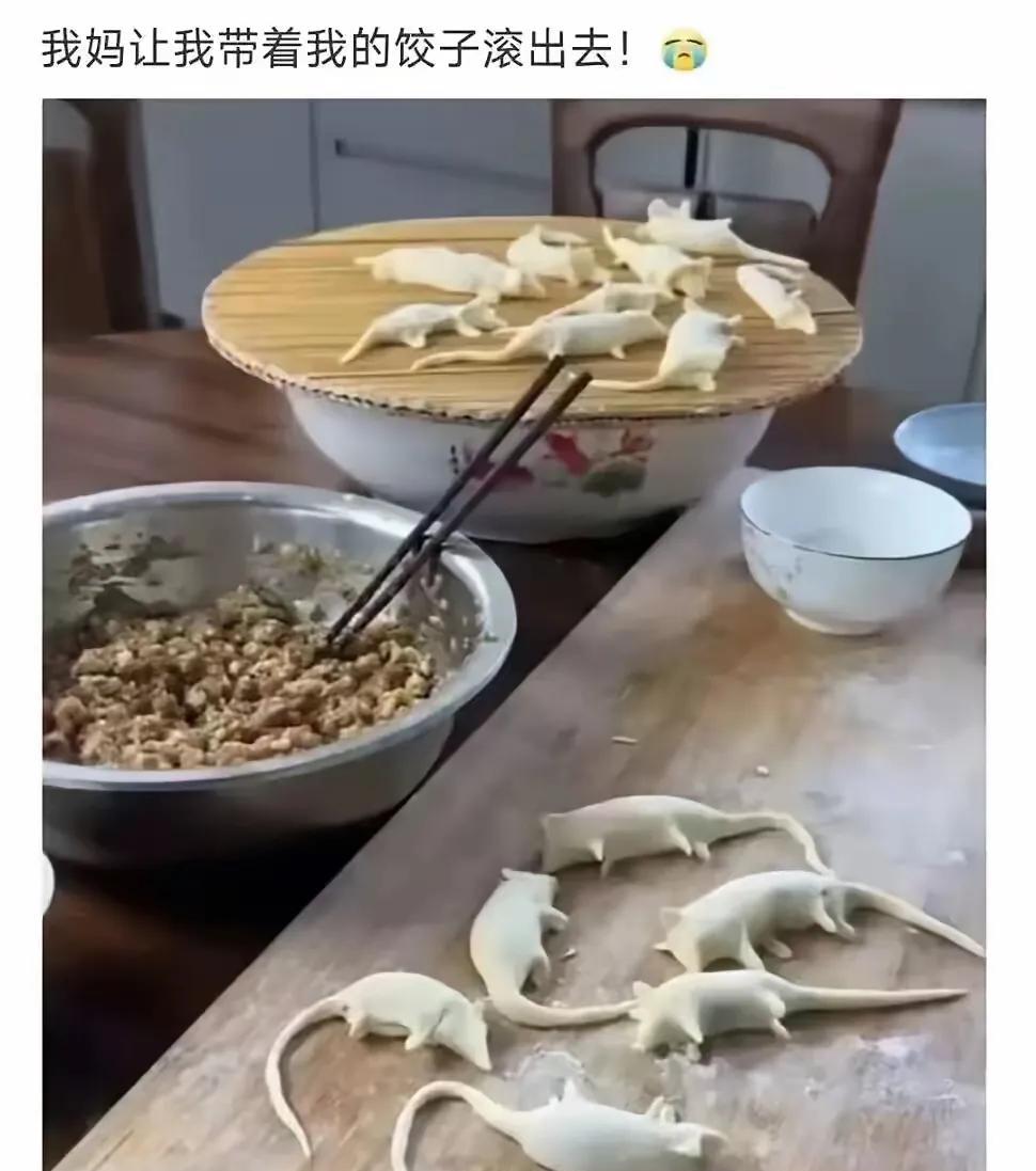 昨天儿子打电话说，要带女朋友回来看我，让我晚饭不用准备，他们回来给我包饺子吃。