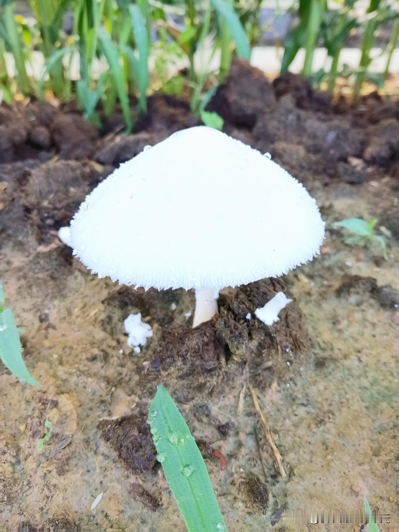 狠狠记住，一辈子不吃亏的社会潜规则1.别人主动帮你做事，事后一定要加倍回馈，世