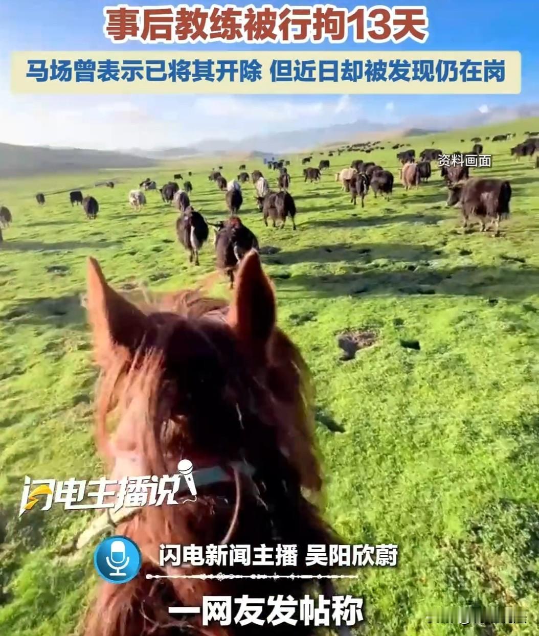 男人不坏女人不爱？青海，年轻女子身材惹眼，男教主动提供贴身教骑马服务，期间动手动