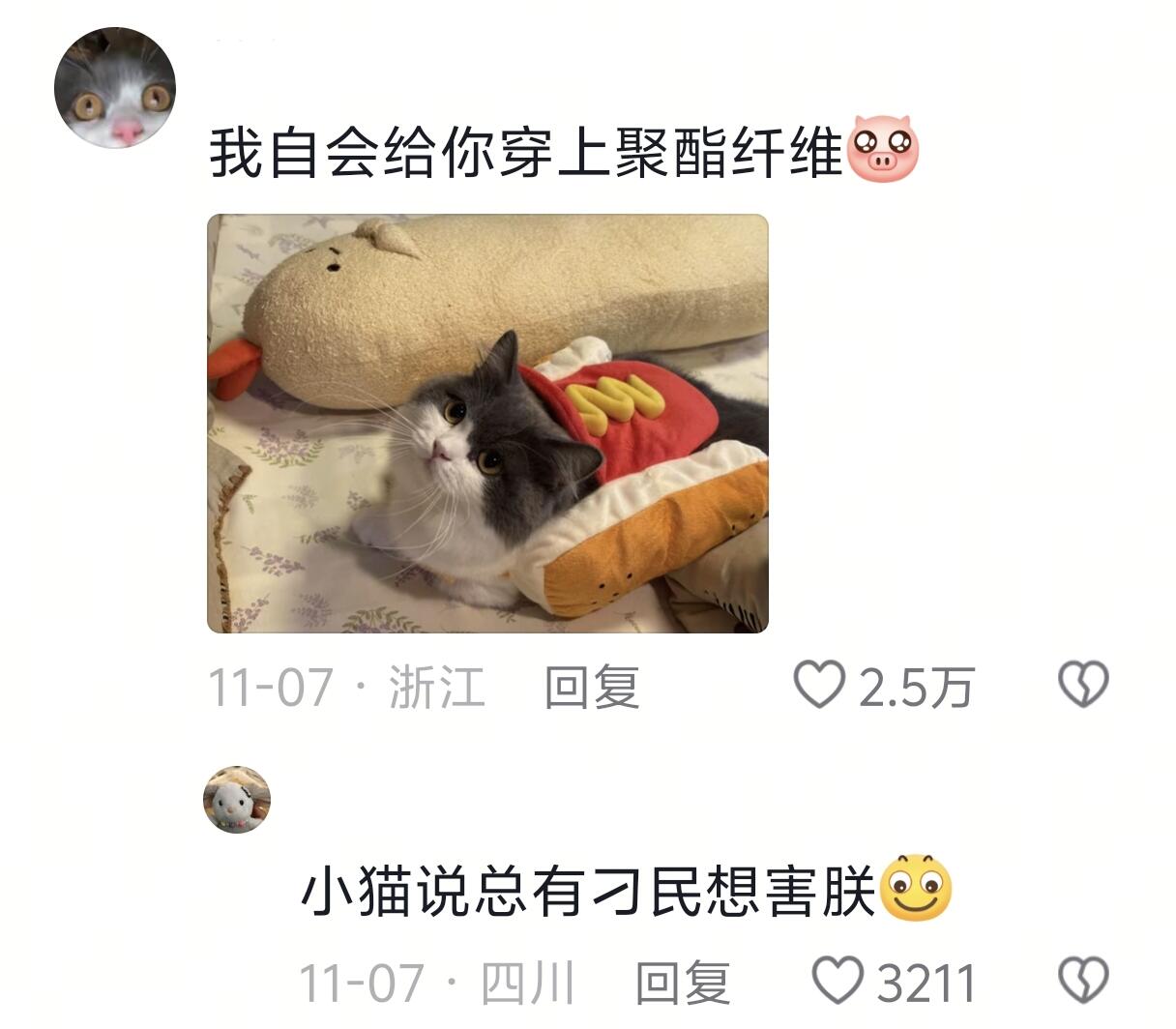 小猫：总有刁民想害朕