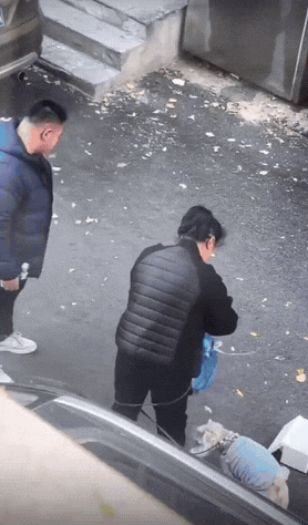 狗子为了保护主人，真是把命都给豁出去了！看到自己的主人被人欺负，拼了命的冲到前