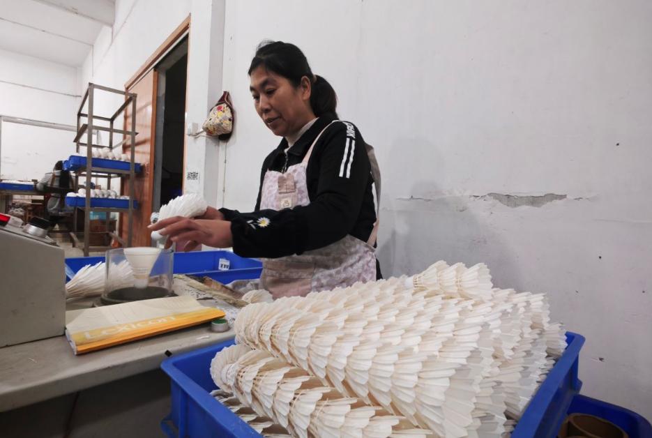 逆袭！合肥隔壁小城靠“大白鹅”狂赚189亿羽毛飞遍全球赛场不靠新能源，专