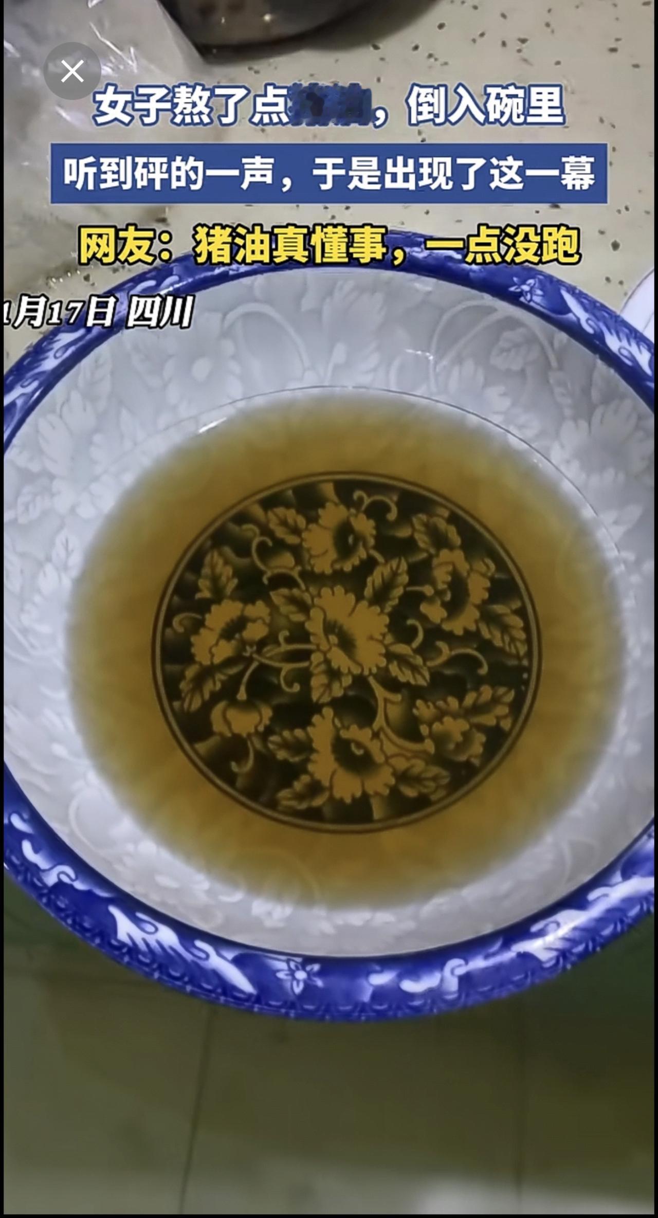 女子熬了点猪油，倒入碗里，结果～