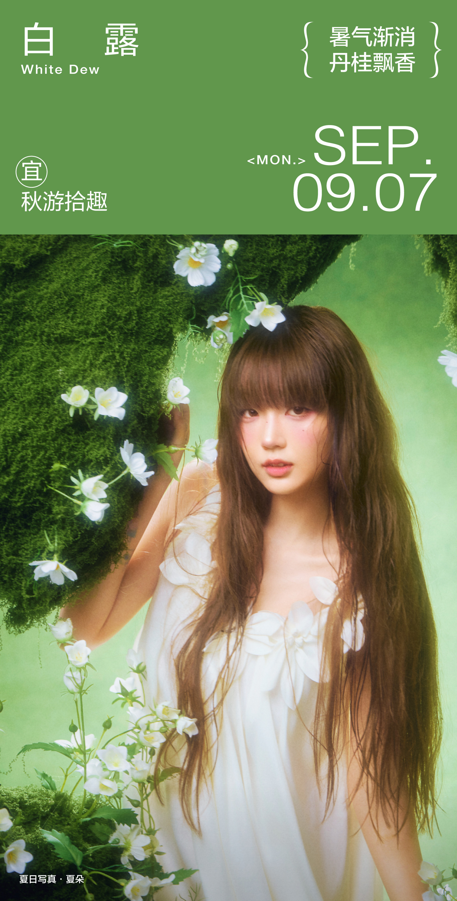 白露尚未干，去山野间走一走。拾一片落叶，藏一整个夏天。​​​