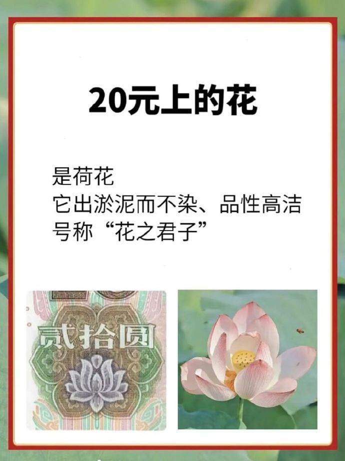 一个人民币冷知识