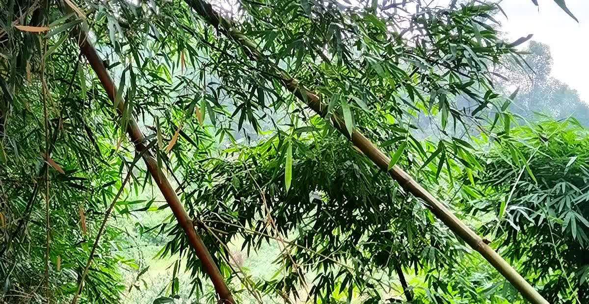 你们发现没有？如果在一个家庭里面，爸妈都特别抠门。吃穿用度都精打