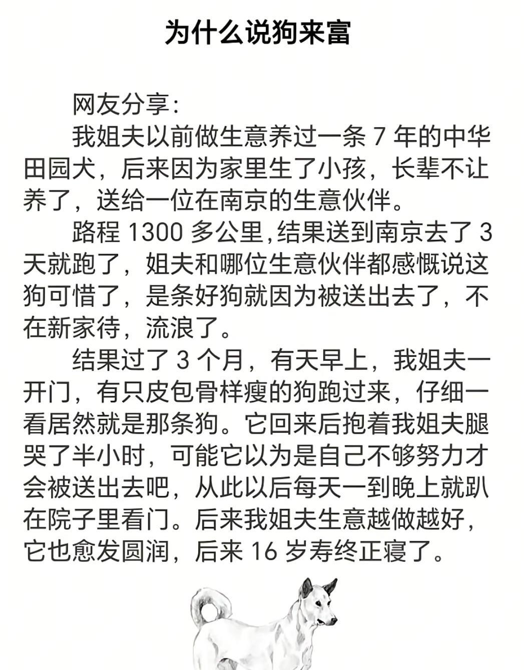 为什么都说狗来富而不是猫或者鸡鸭呢？！好像有句话咋说的来，狗识