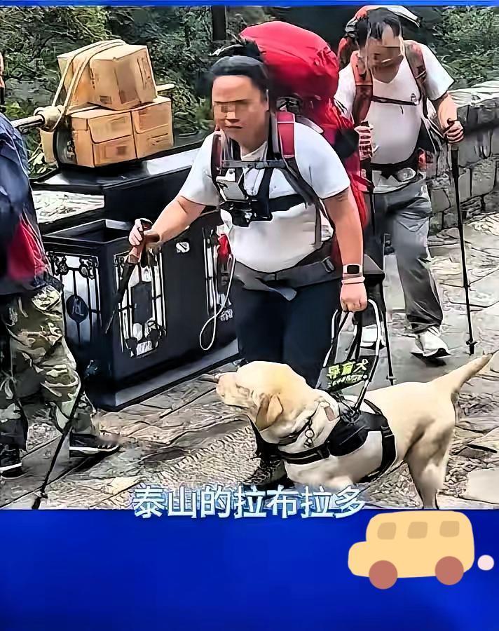 爬泰山后续，王女士已失业，不得已从北京回了老家吉林！她感觉自己很委屈，本来觉