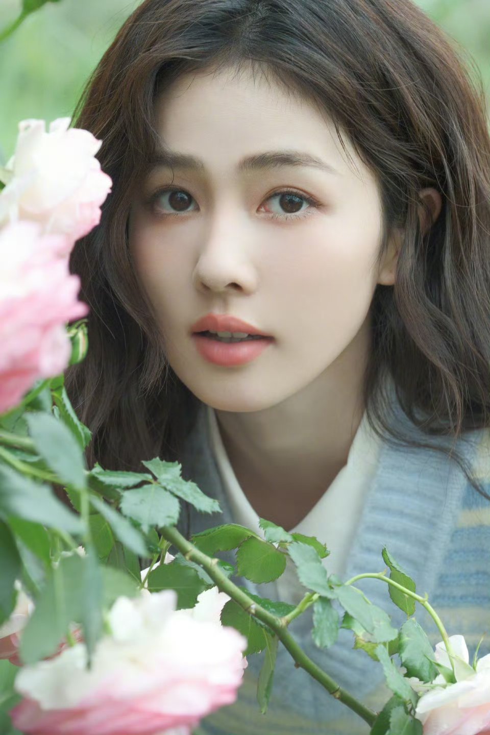 白鹿～～白鹿白鹿