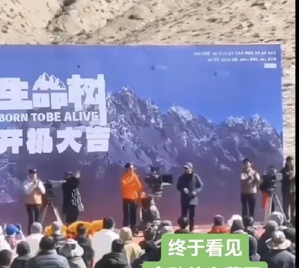紫米们，果然《生命树》剧组在无人区拍摄，没有信号！刚刚我看到了已经拍摄两天前的开