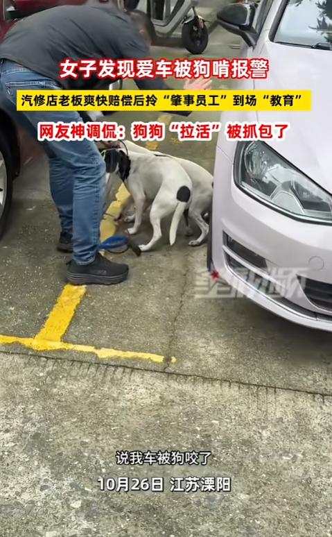 “笑不活了!”10月26日,江苏溧阳,一女子发现自己的爱车被狗啃立刻报警,邻居认