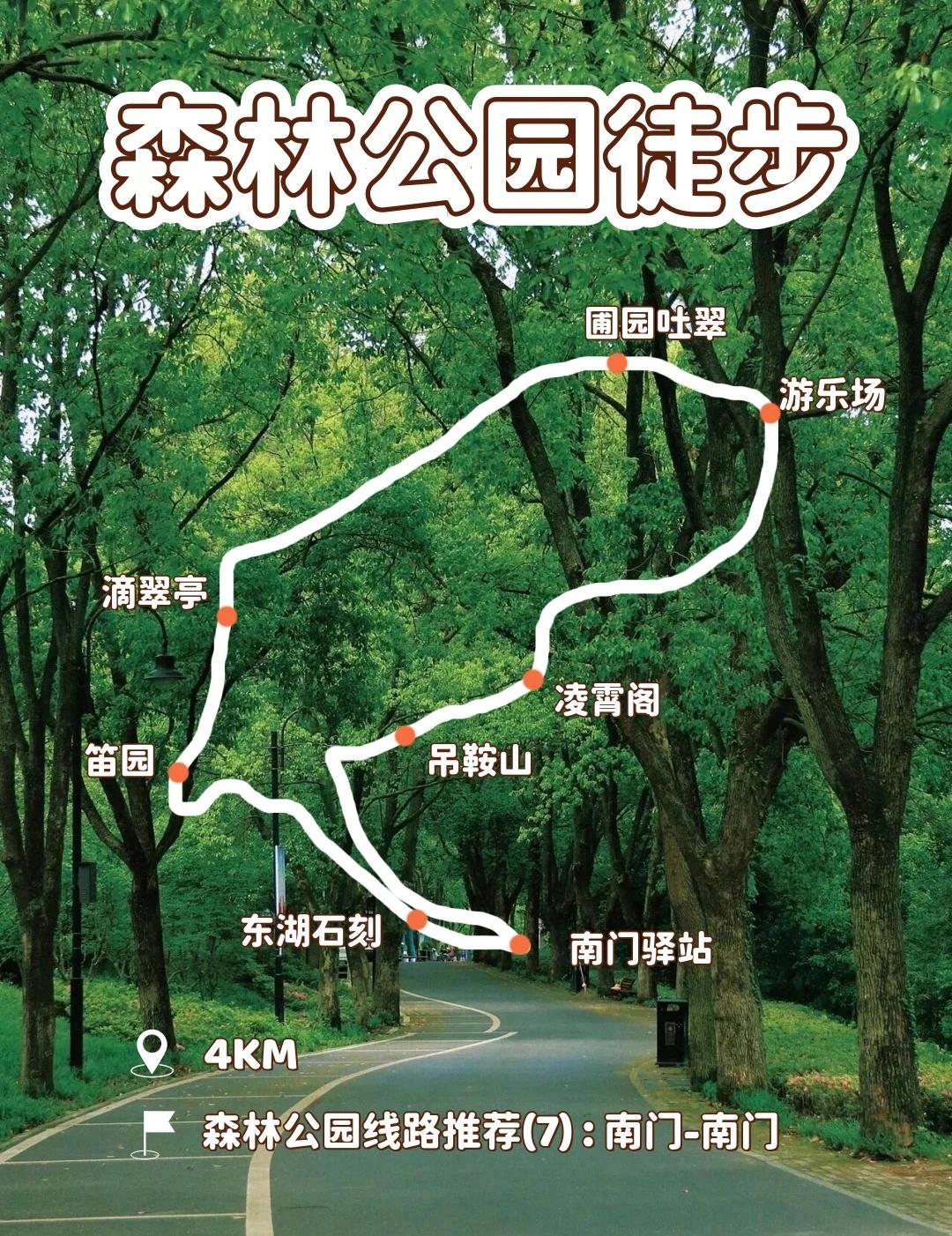 🌲森林公园徒步推荐【7】丨东湖嗨野营地✨南门驿站-凌霄阁-圃园吐