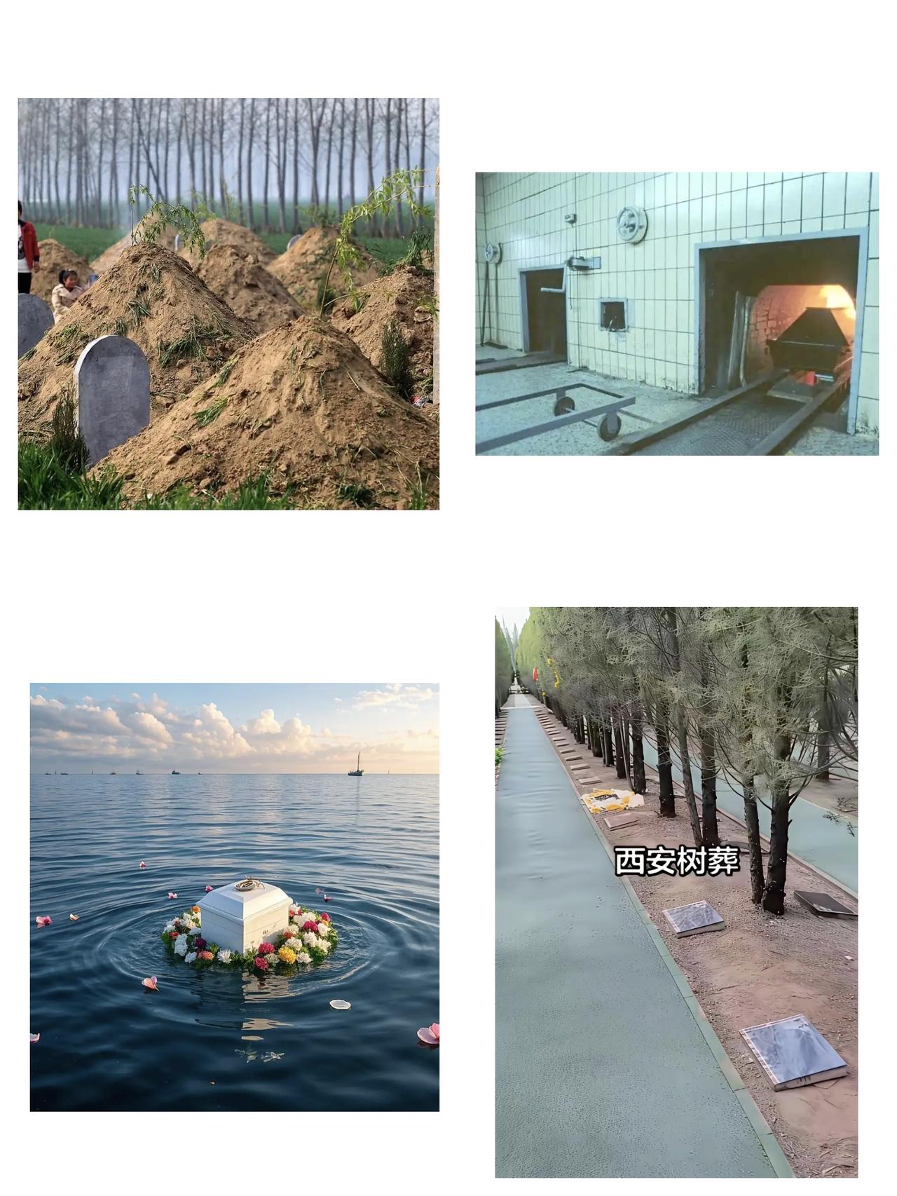 土葬、火葬、海葬、树葬，你认为哪个方式才是最环保，最可持续的？我个人觉得其实