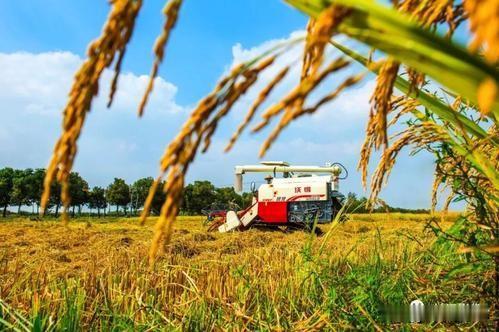 没有人忘记农民，是农民中的一都人把自己忘记了。忘记了他作为一个共和国公民应该负