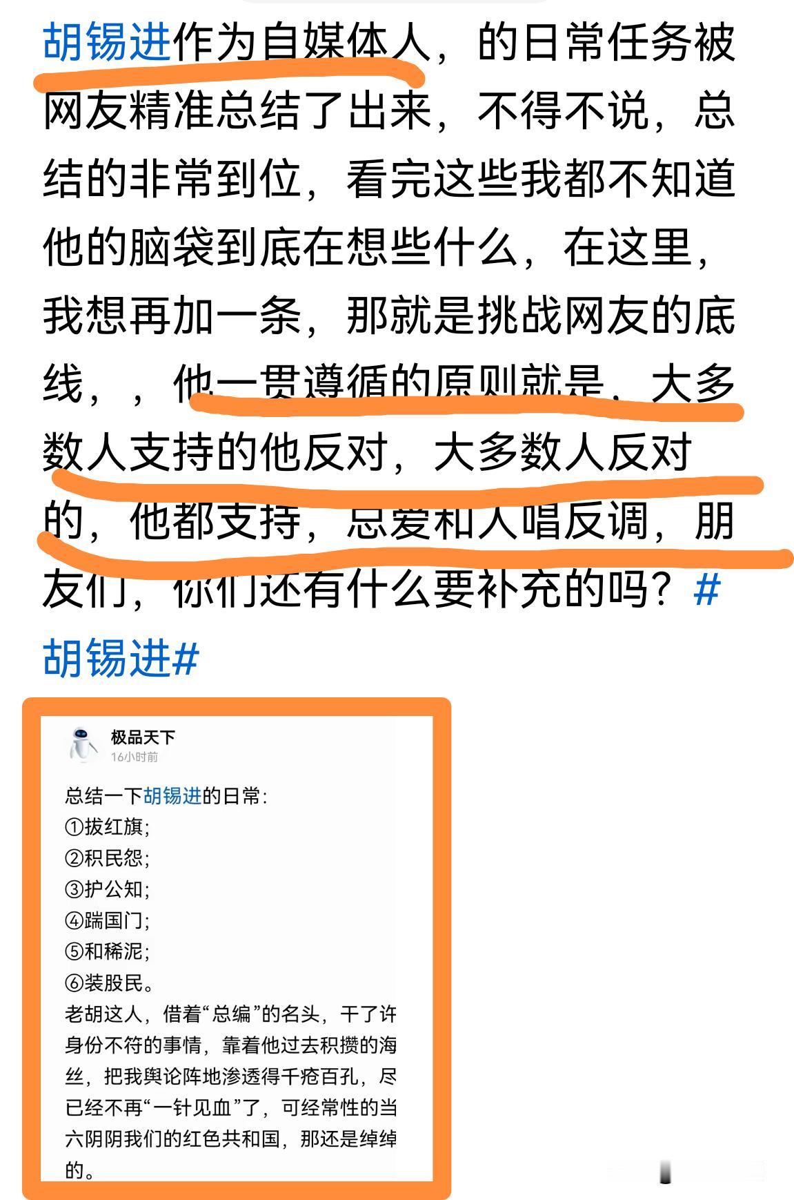 胡锡进的画像。