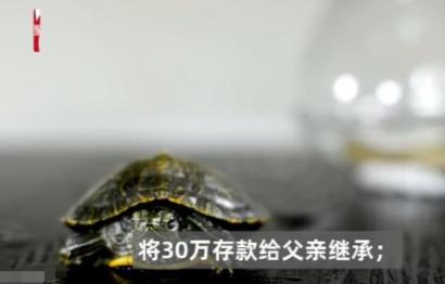 人间清醒！北京，39岁女子一直单身，回家探亲时，侄子想让她在北京买套房给他住，女