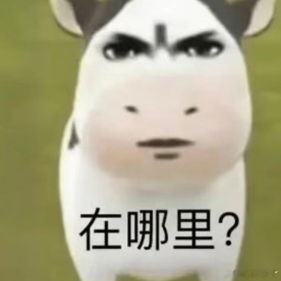 搞笑表情包动漫点评团次元新星计划