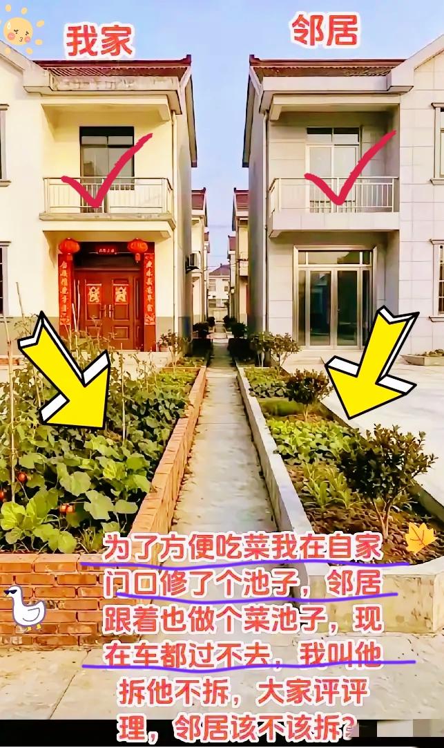 谁能想到，几十年的老街坊，最后栽在一个小菜池上！本来只是我在自家门口修个池子种
