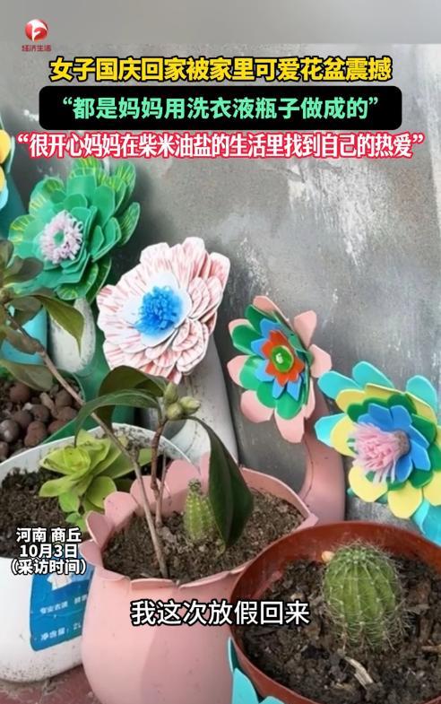 “人怎么能这么聪明！”10月1日，河南商丘，一女子放假回老家后，发现家里多了很多