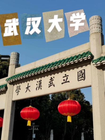 肖同学实惨1武大不按规定调查，国奖保研没了家人还遭罪教育部明文规定了