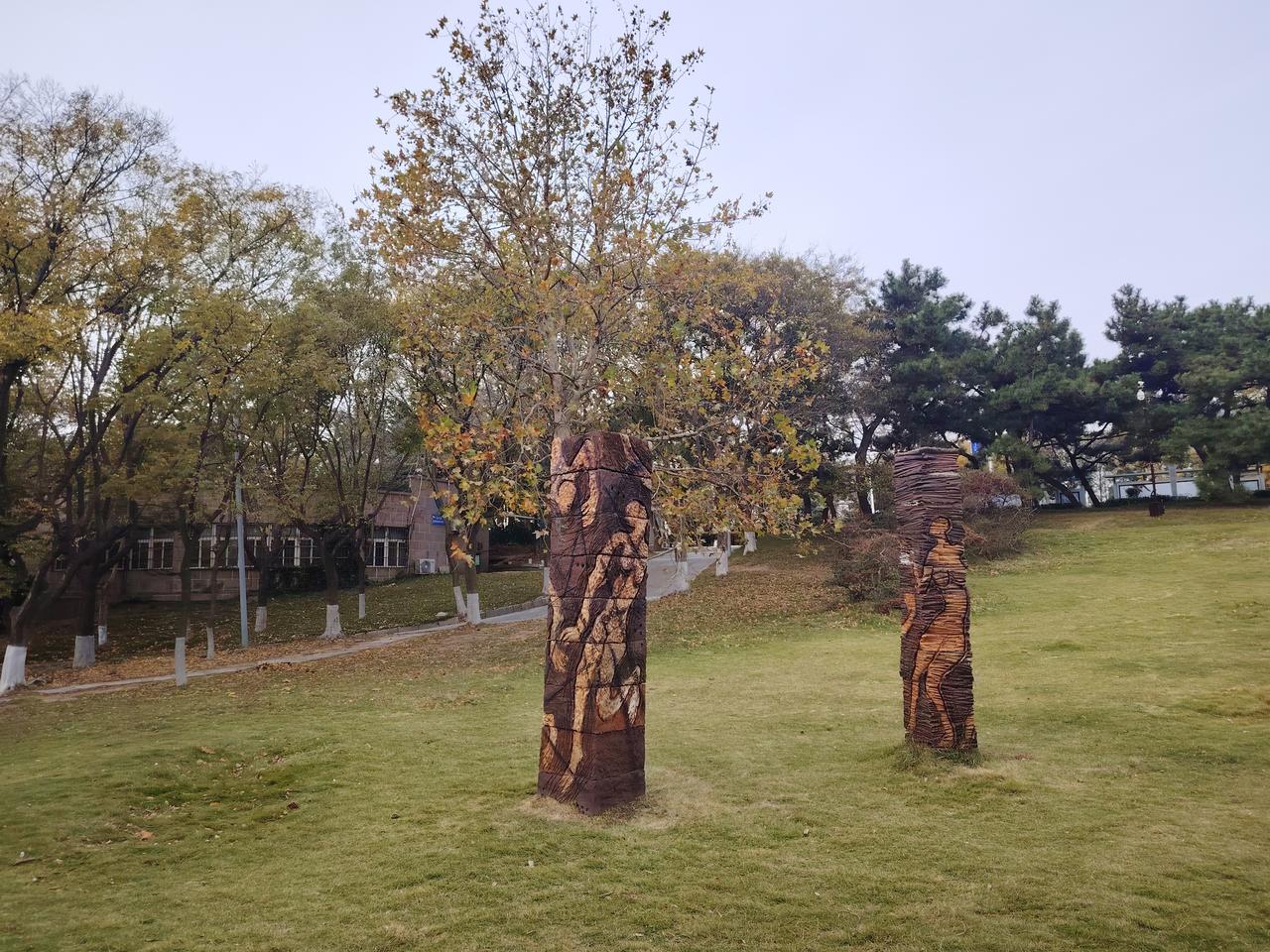 今冬最强冷空气正在持续影响青岛。本周，青岛的气温先抑后扬，周一、周二最高气温7°