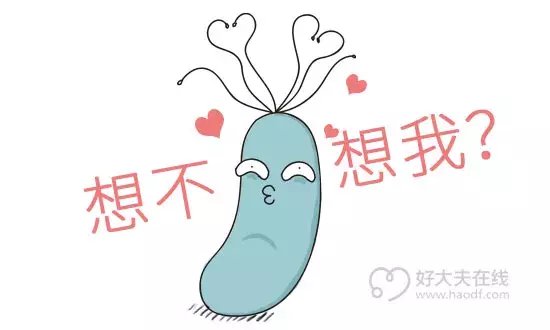 幽门螺杆菌感染中国8亿人, 这4类人必须治!