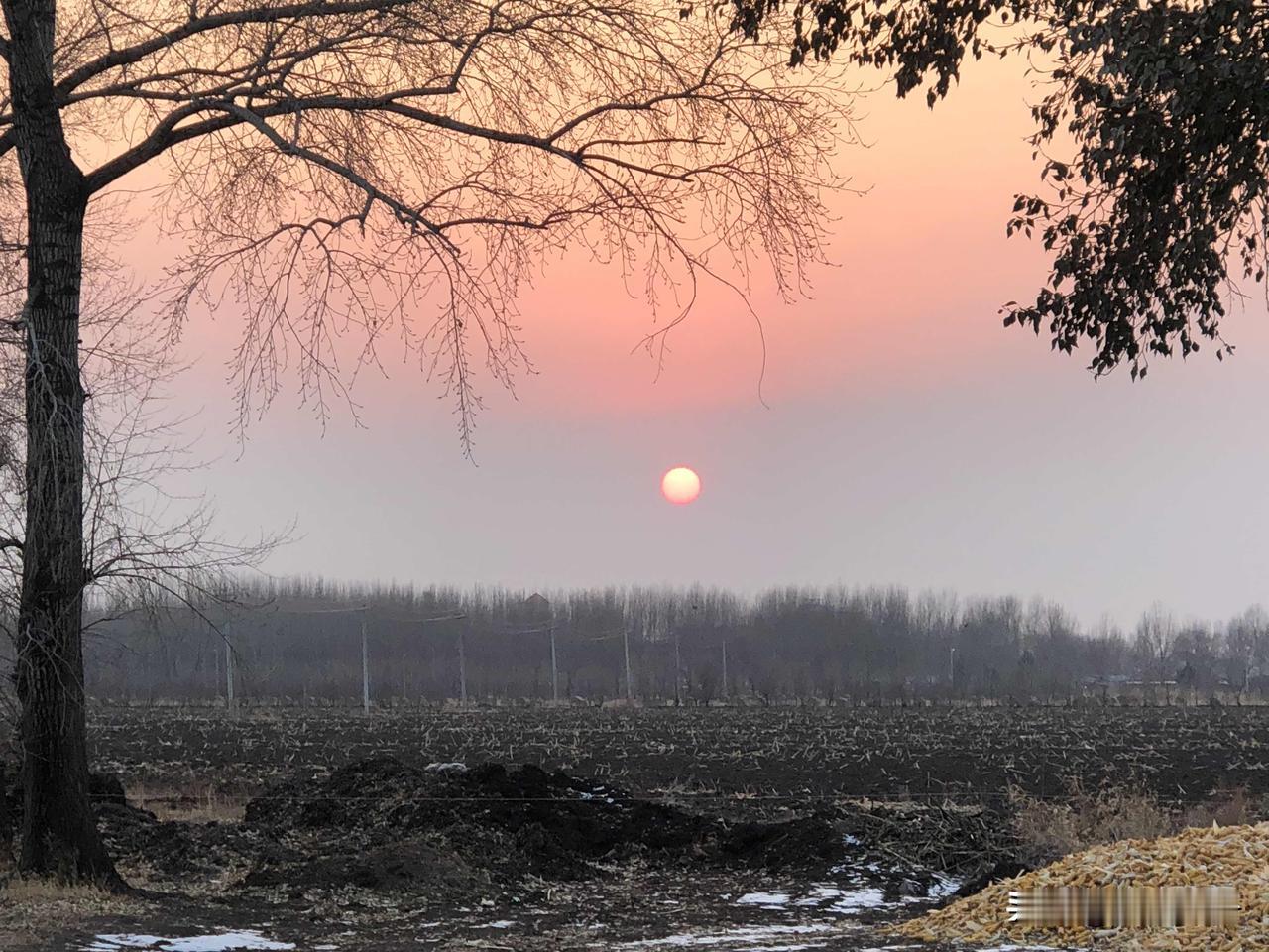 6G彻底炸了！中国直接领跑全球，这次真的扬眉吐气！全网都在吹5G，殊不知中国